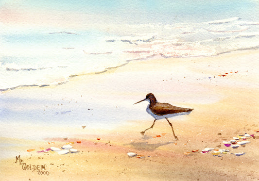 Sandpiper 3 Giclée Print