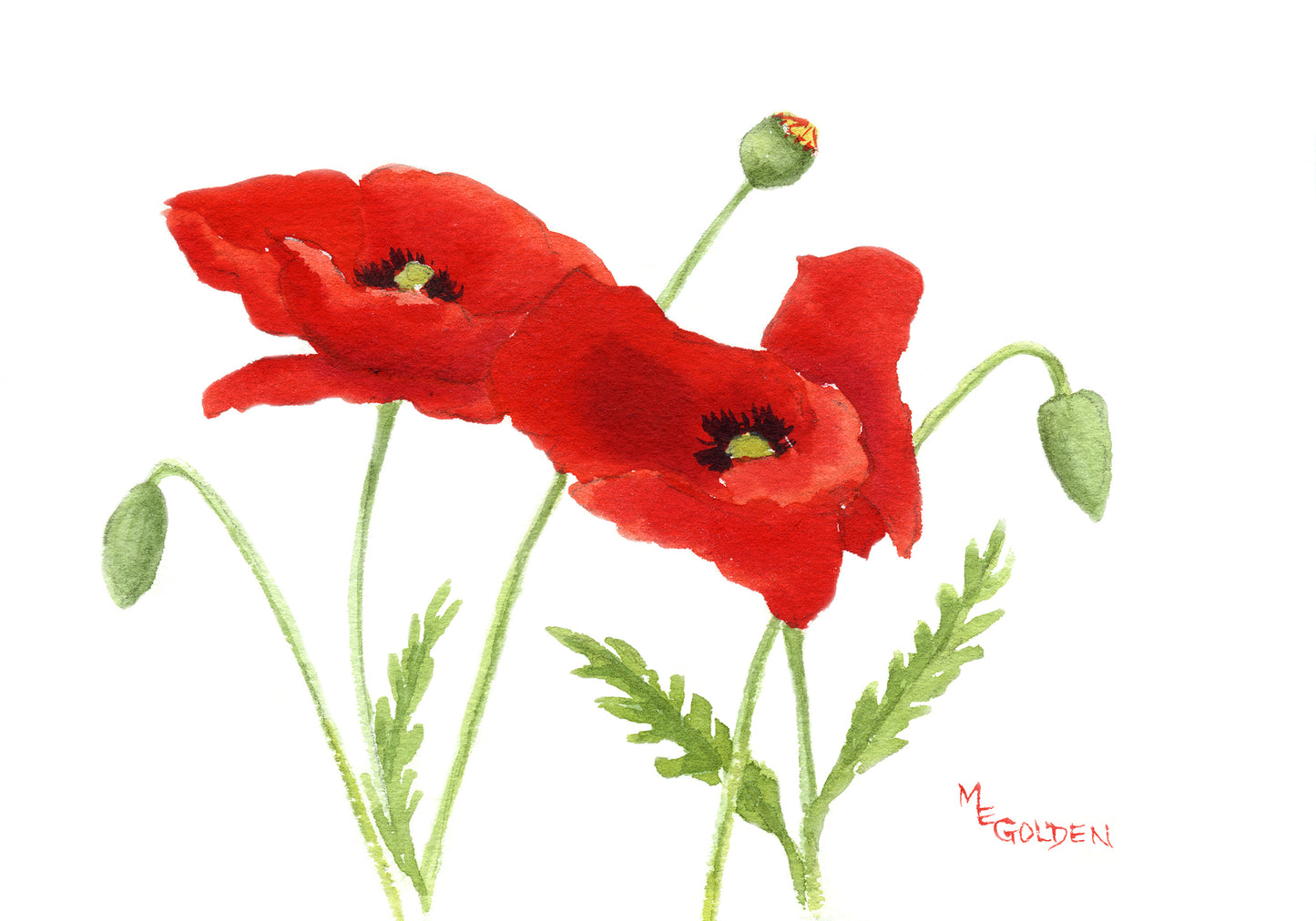 Small Poppies 2 Giclée Print