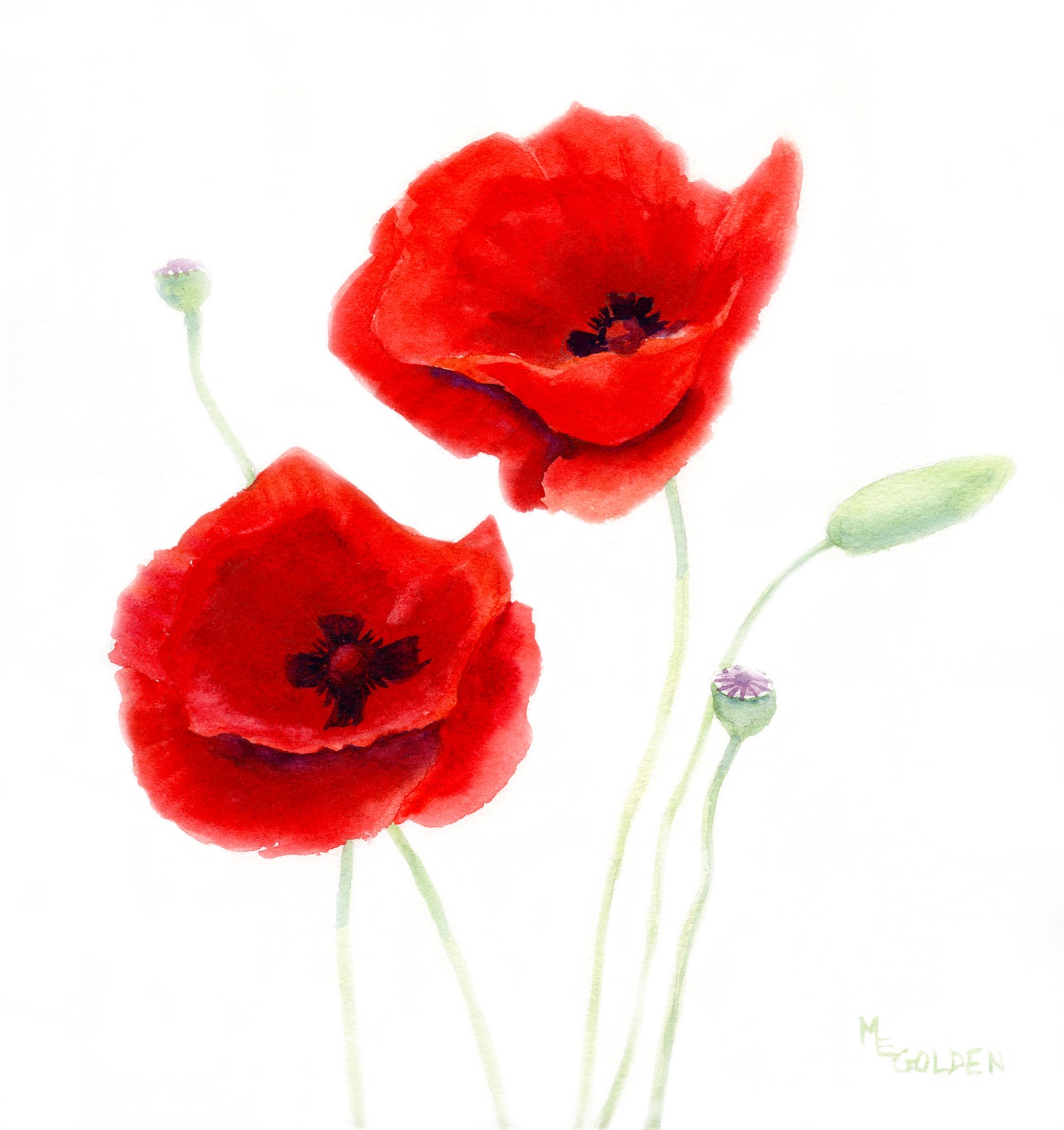 Spring Poppies 2 Giclée Print