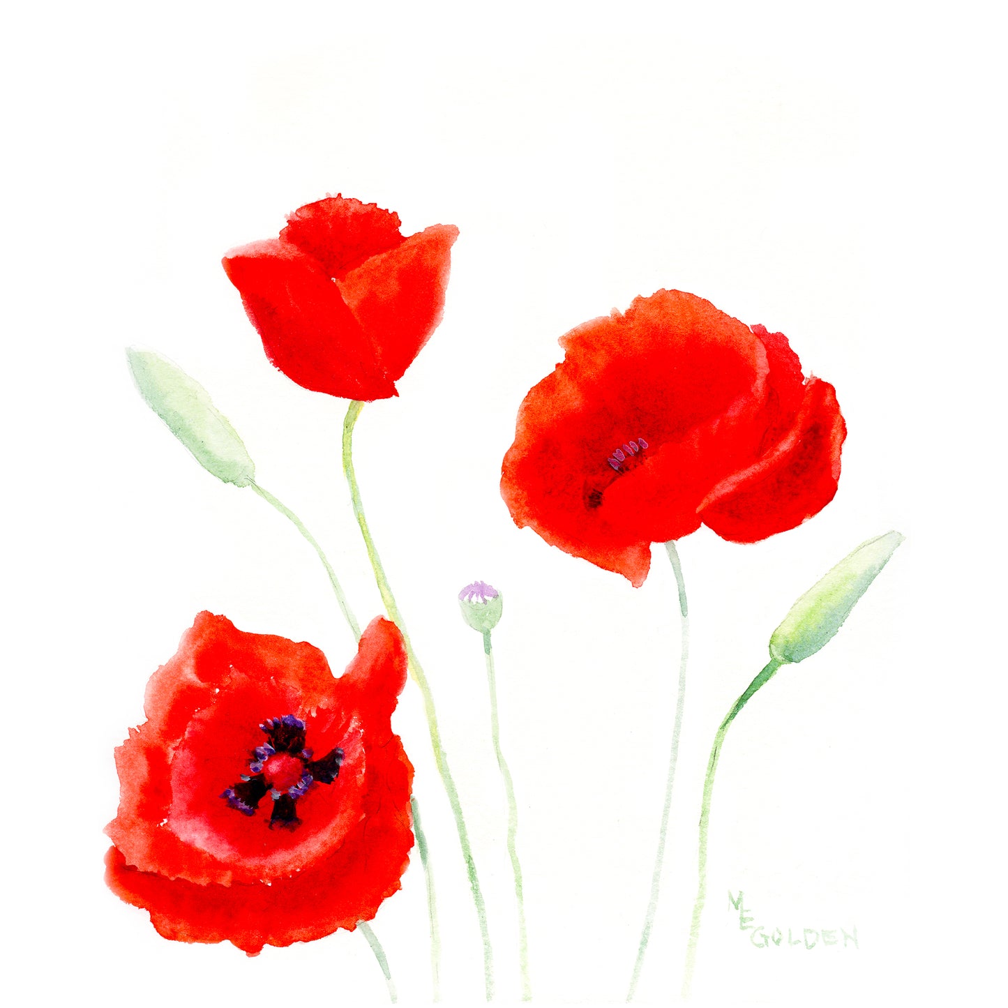 Spring Poppies 3 Giclée Print