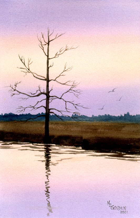 Sunset Cypress Giclée Print