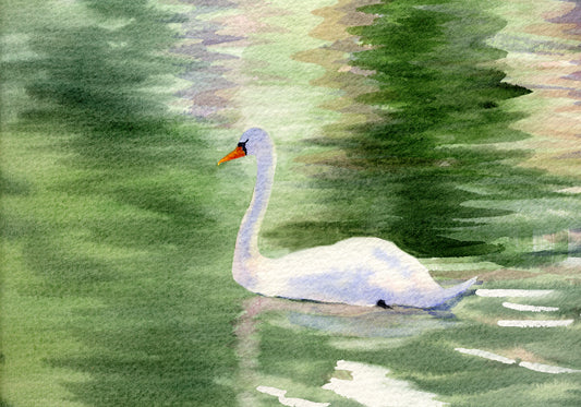 Swan Giclée Print