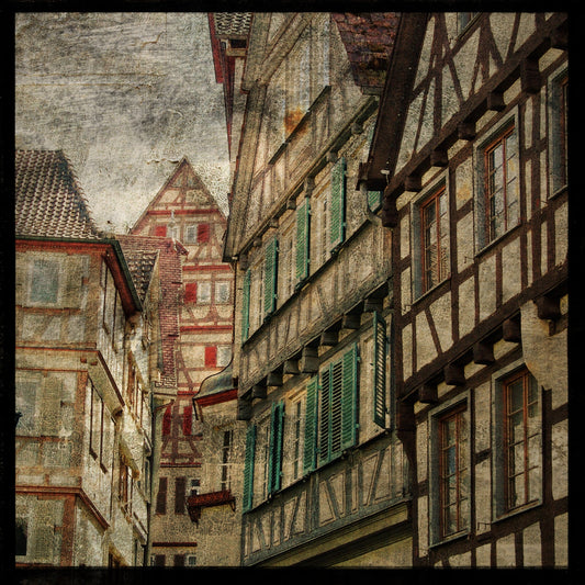 Tubingen Houses Photograph