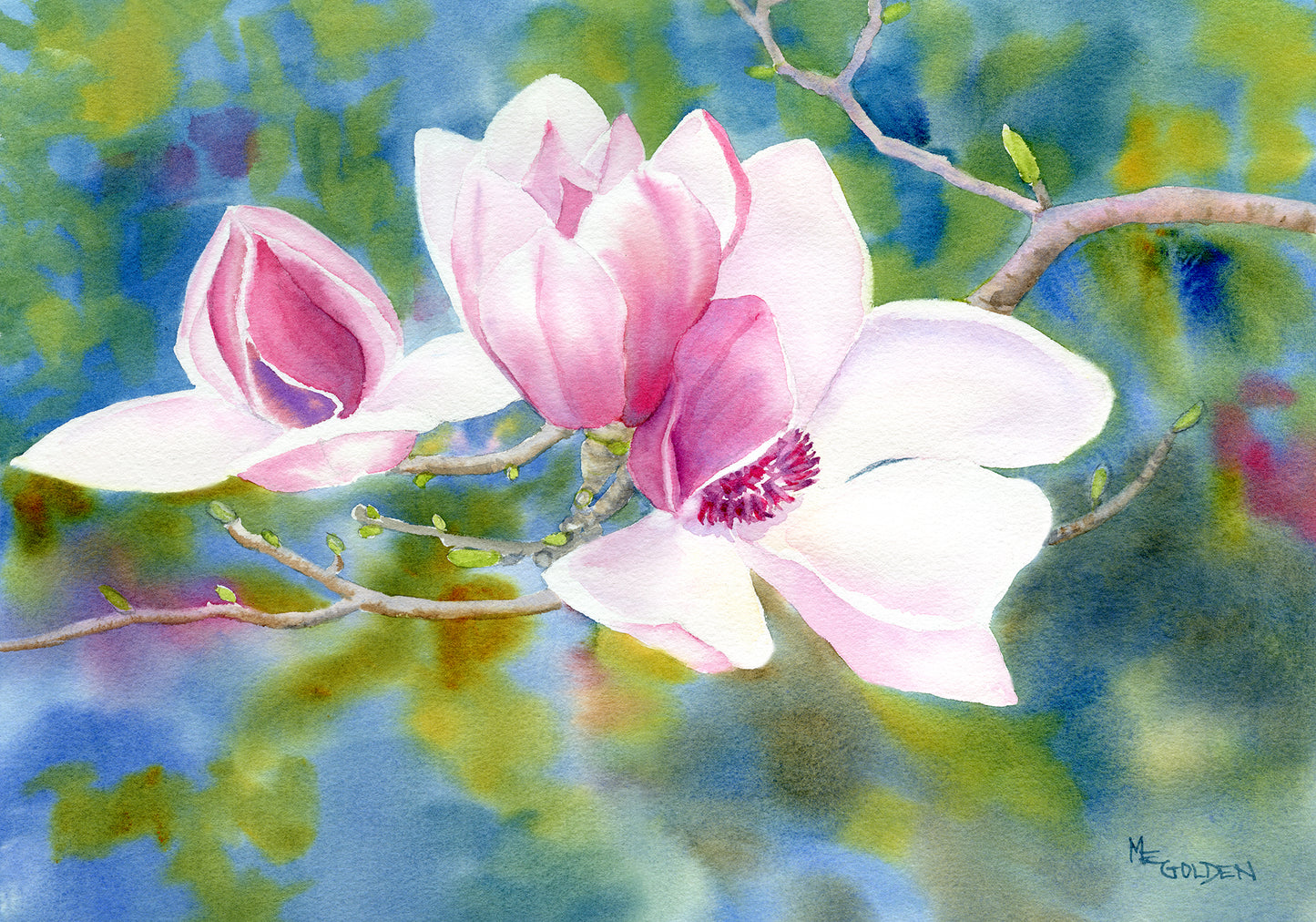 Tulip Tree 2 Giclée Print