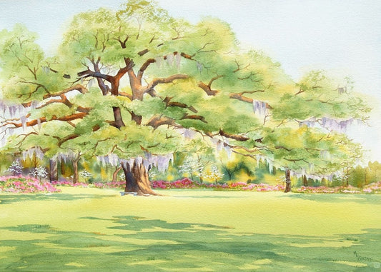 Airlie Oak Giclée Print