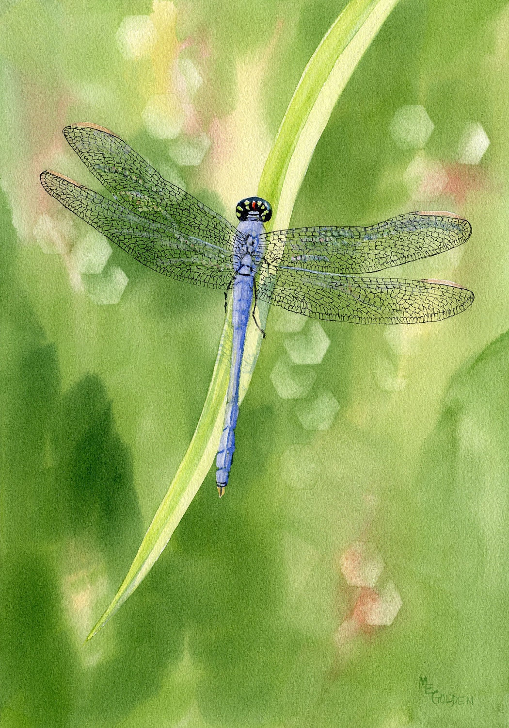 Blue Dragonfly Giclée Print