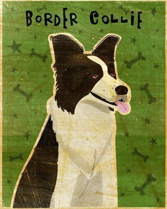 Border Collie - Print