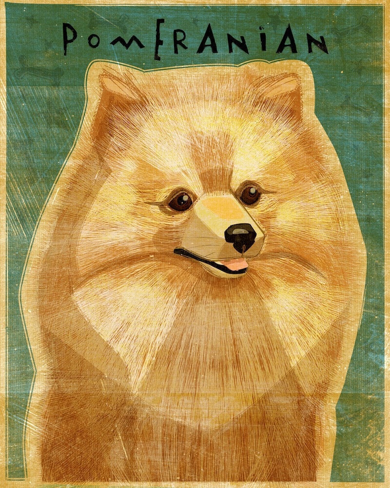 Pomeranian - Red - Print