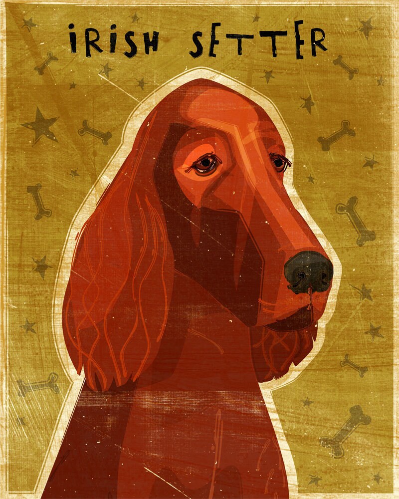 Irish Setter - Print