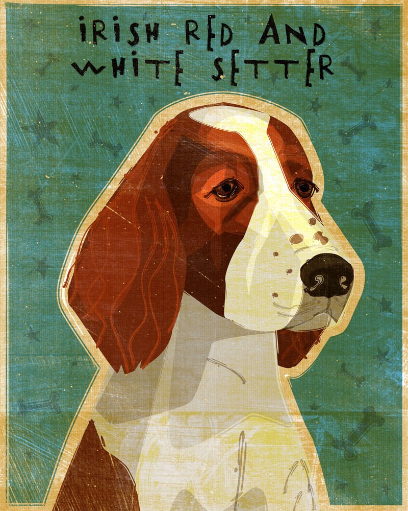 Irish Red and White Irish Setter - Print