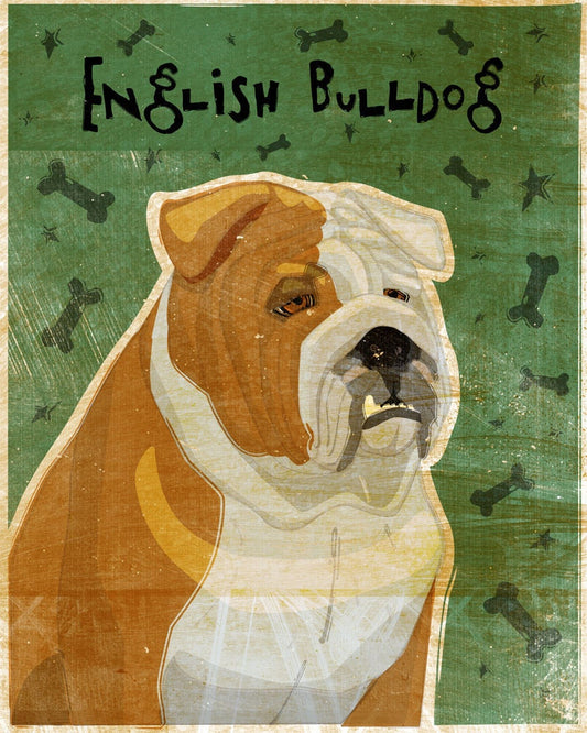 English Bulldog - Red and White - Print