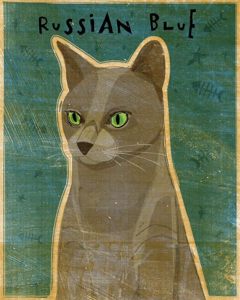 Russian Blue - Cat Print