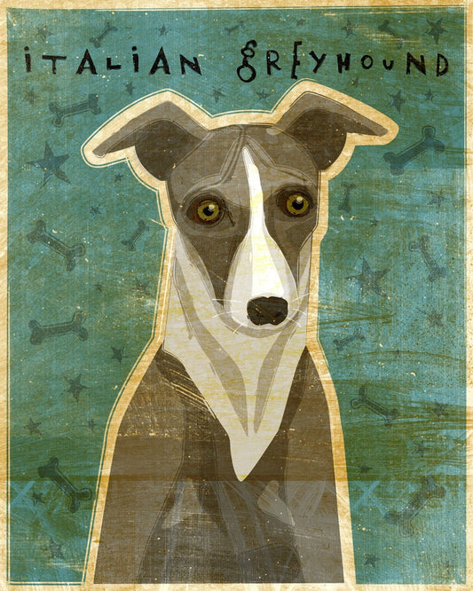 Italian Greyhound - Blue or Gray - Print