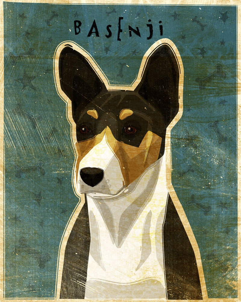 Basenji- Tri-Color - Print