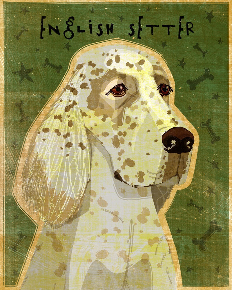 English Setter - Orange Belton - Print