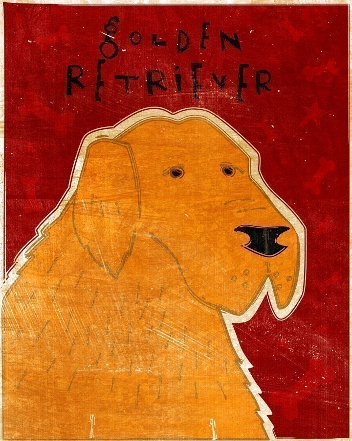 Golden Retriever - Print