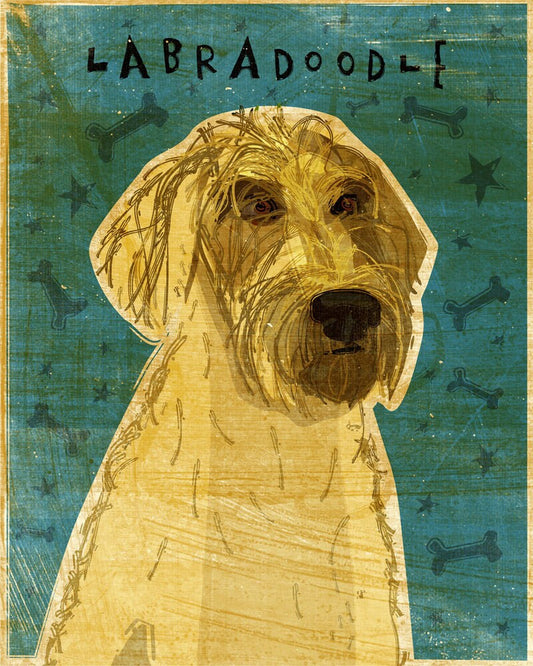 Labradoodle - Yellow - Print