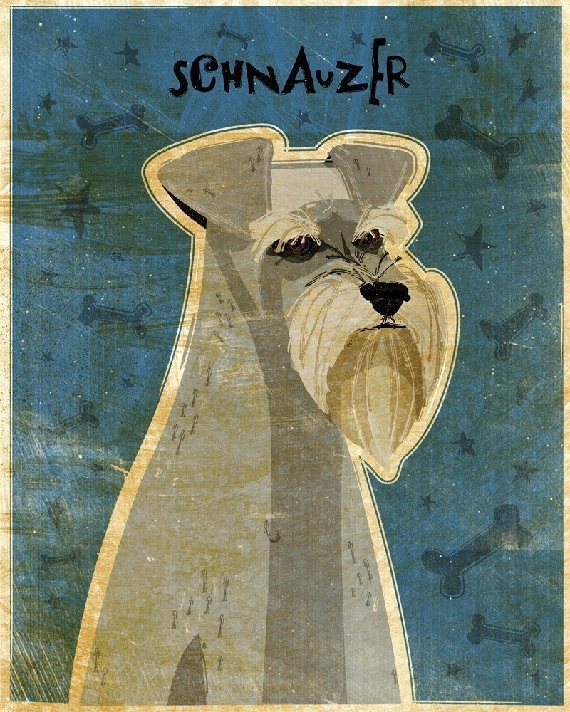 Schnauzer - Print