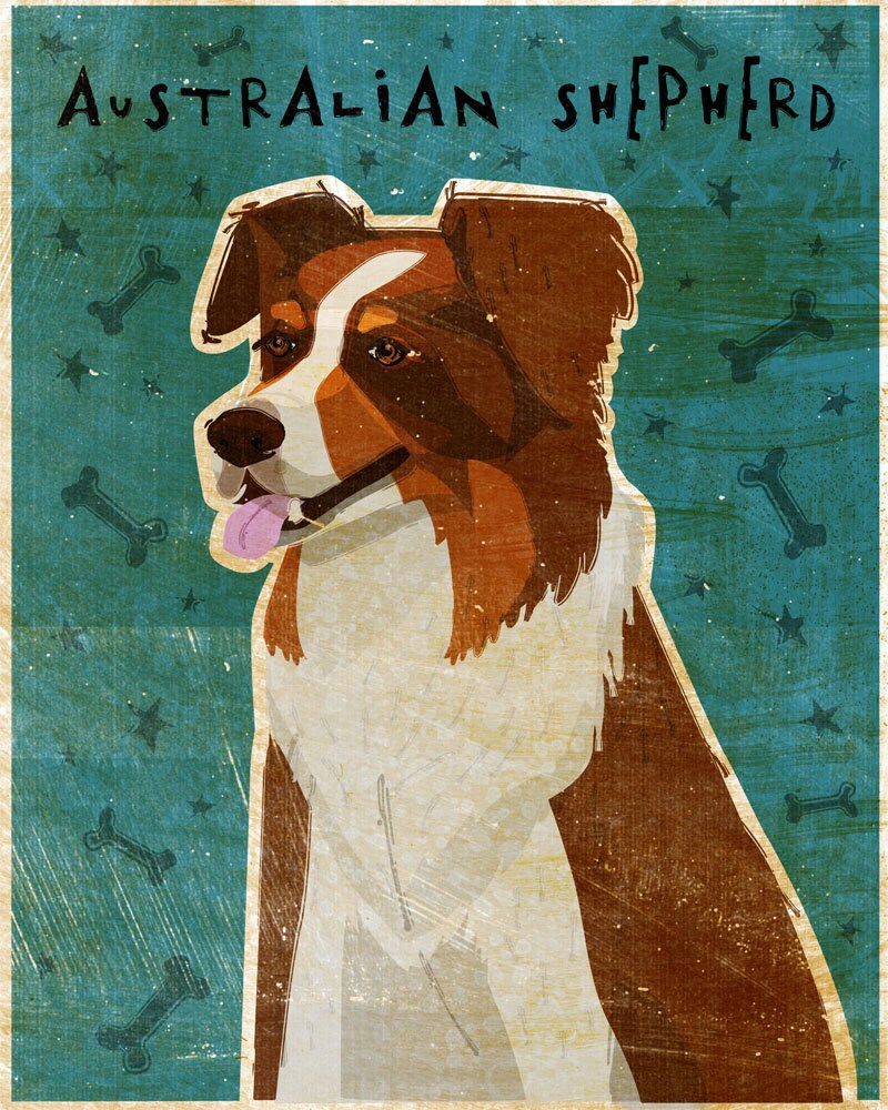 Australian Shepherd - Red - Print