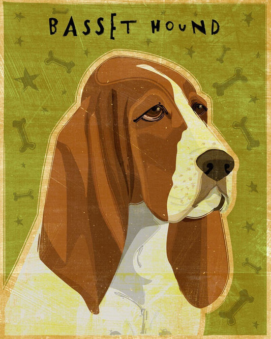 Basset Hound - Print