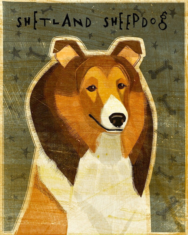 Shetland Sheepdog - Red - Print