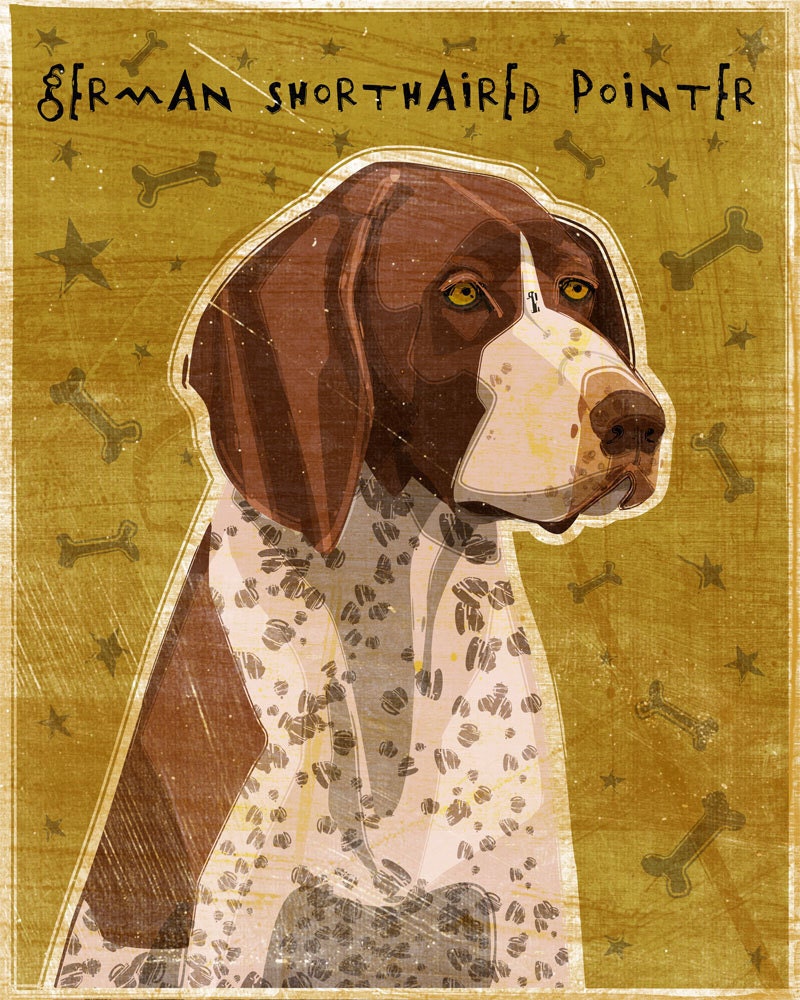 German Shorthaired Pointer - Print