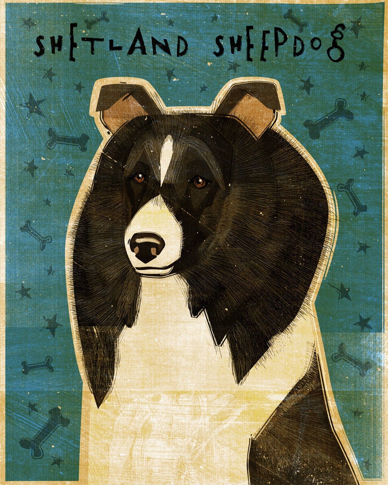 Shetland Sheepdog - Bi-Black - Print