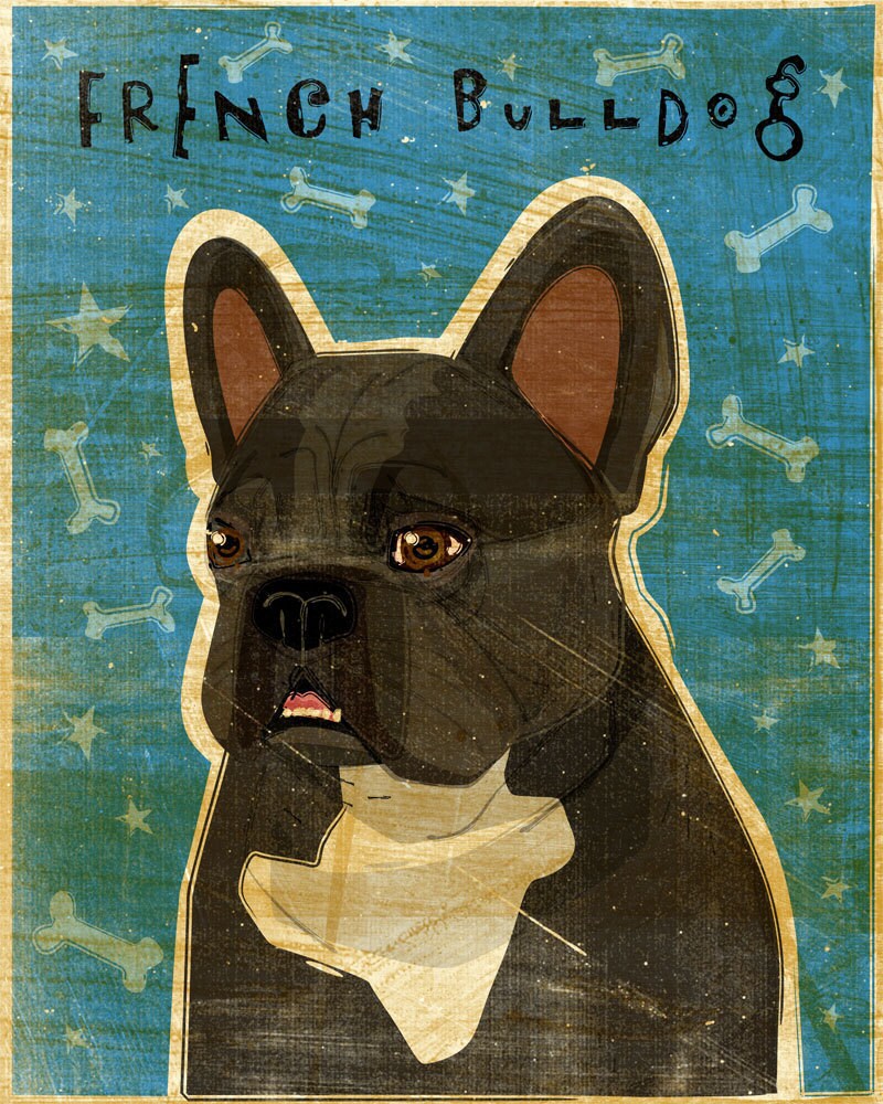 French Bulldog - Brindle and White - Print