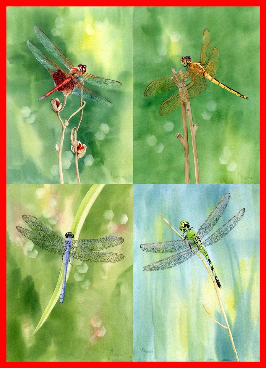 Dragonfly Collection from original watercolors