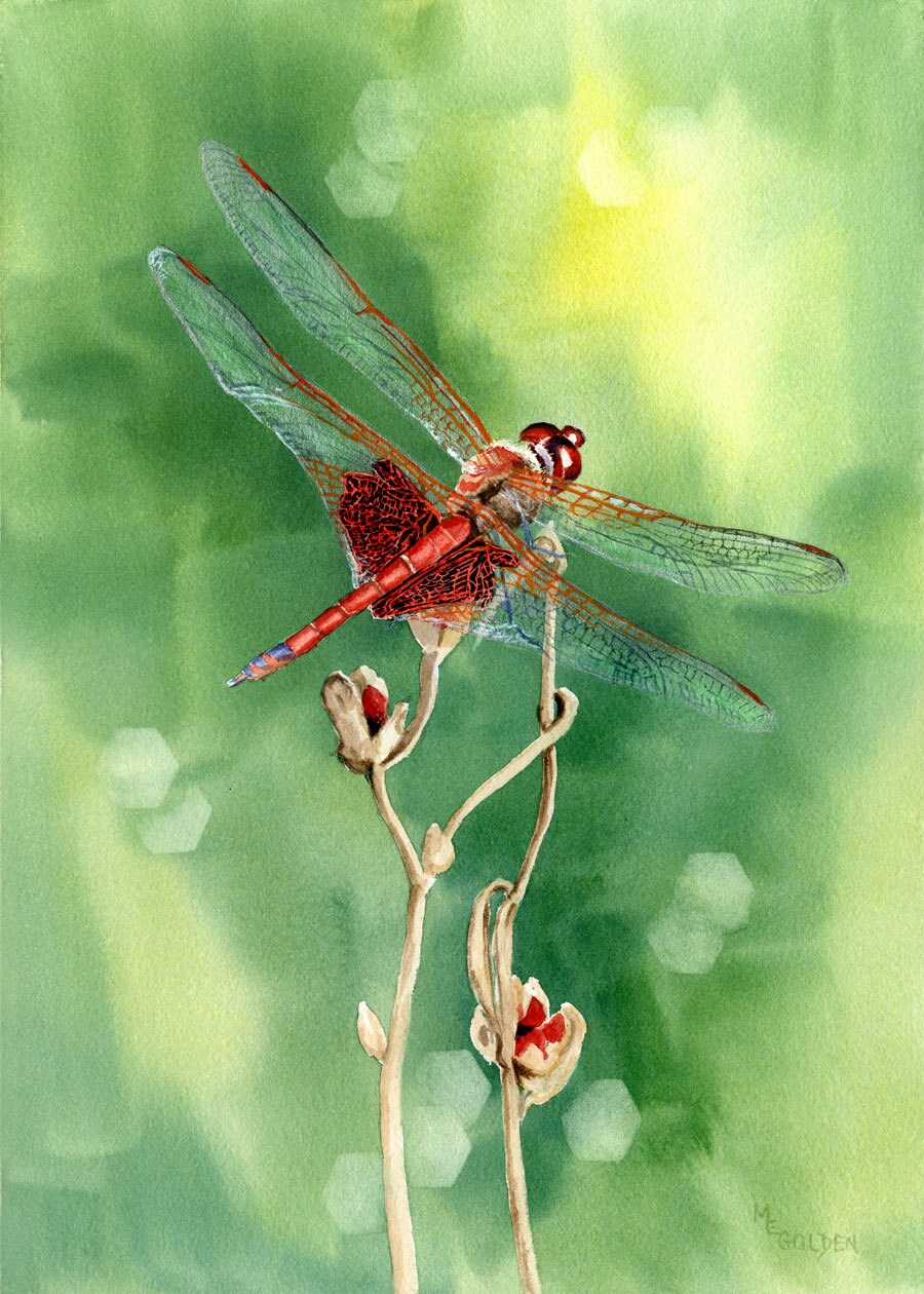 Red Dragonfly Giclée Print