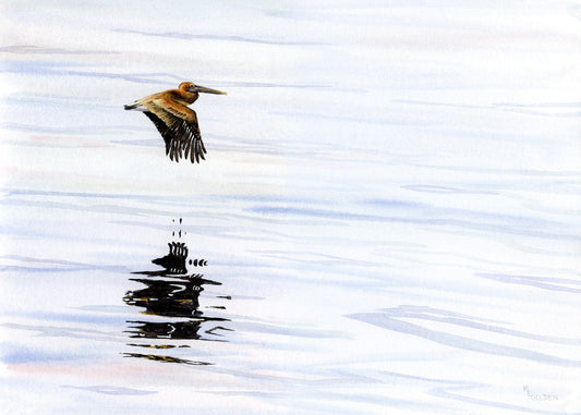 Pelican Reflections from the ferry in Pamlico Sound Giclée Print