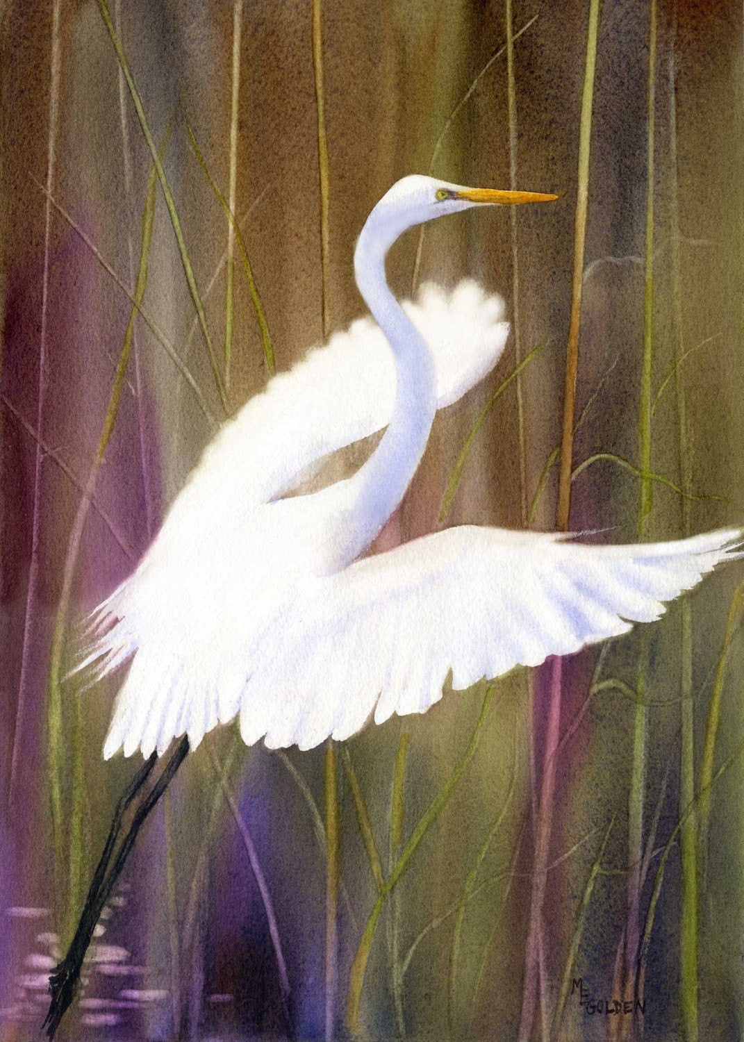 Taking Flight from the marsh Giclée Print